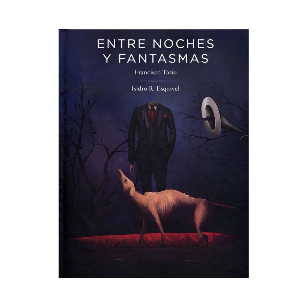 TOP10BOOKS - LIBRO Entre Noches Y Fantasmas - Francisco Tario