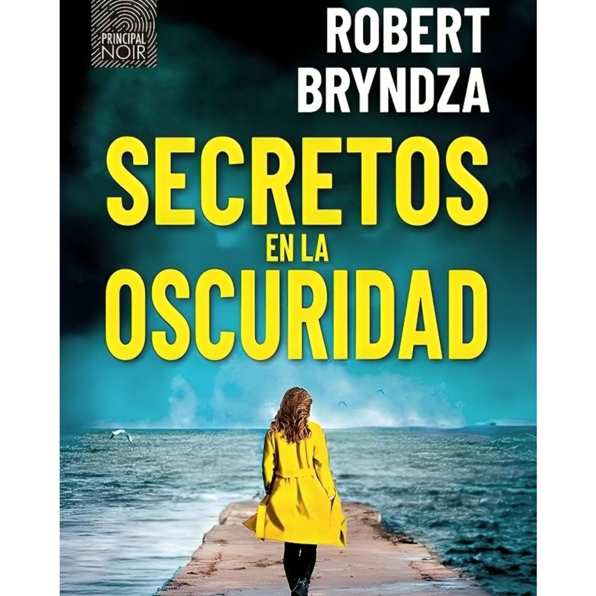 TOP10BOOKS - LIBRO Secretos En La Oscuridad - Robert Bryndza