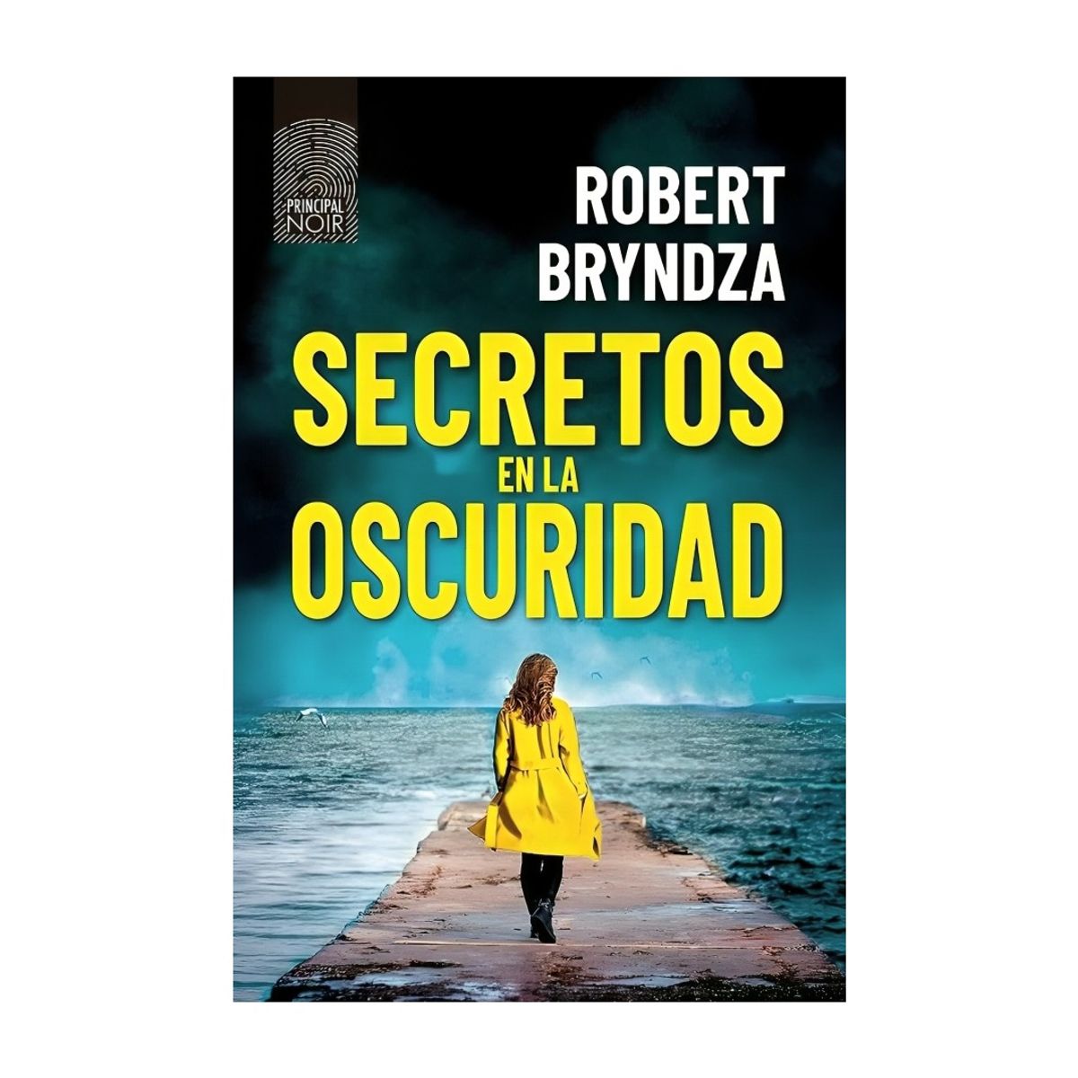 TOP10BOOKS - LIBRO Secretos En La Oscuridad - Robert Bryndza