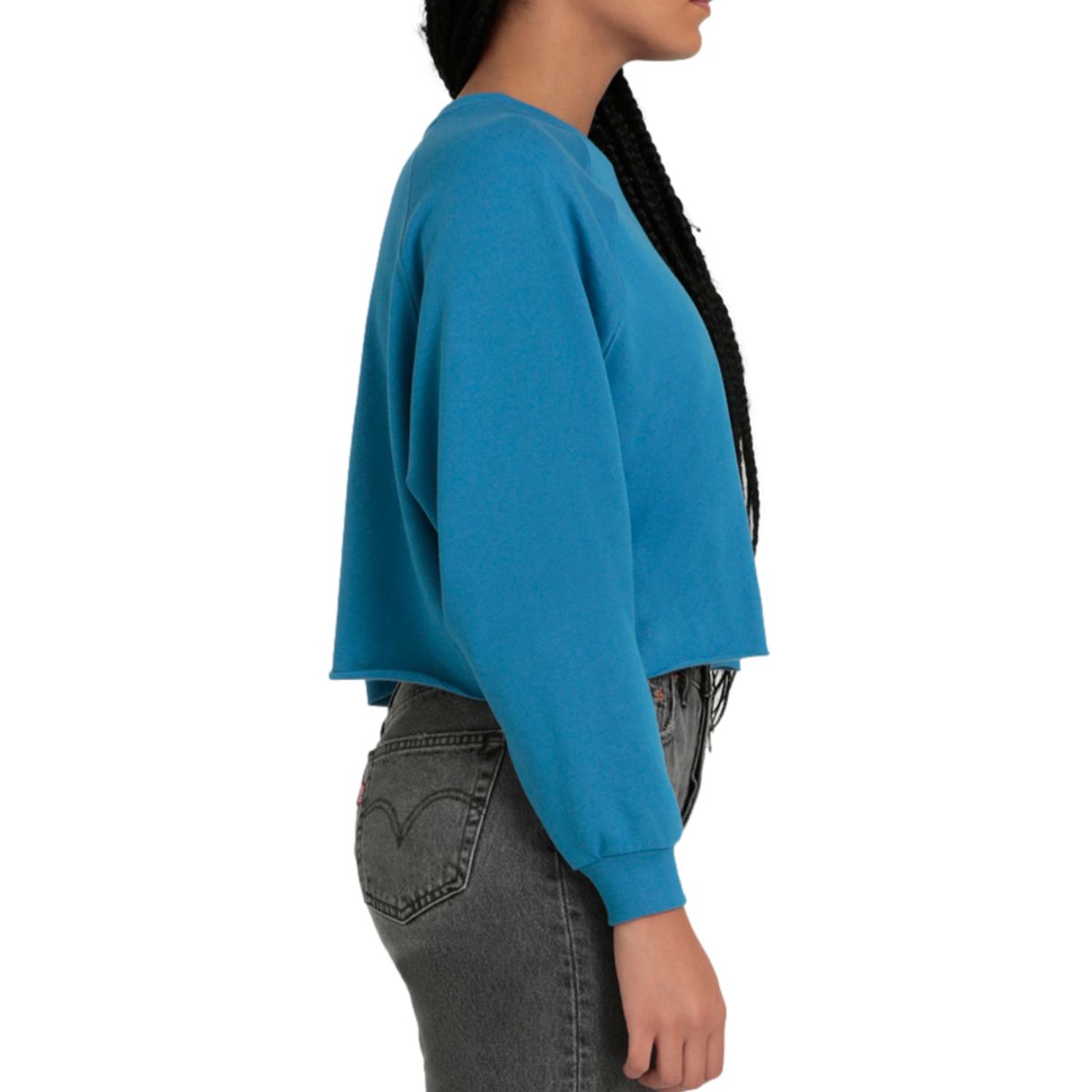 LEVIS - Polerón Mujer Regular Fit Logo Mini Porter Azul Levis