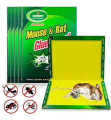 U BUY - Pack 25 Laminas Trampa Atrapa Rata Ratón Pegamento