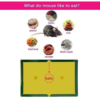 Imagen 2 del producto Pack 25 Laminas Trampa Atrapa Rata Ratón Pegamento