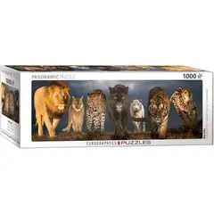 EUROGRAPHICS - 6010-0297 BIG CATS PUZZLE 1000 PIEZAS
