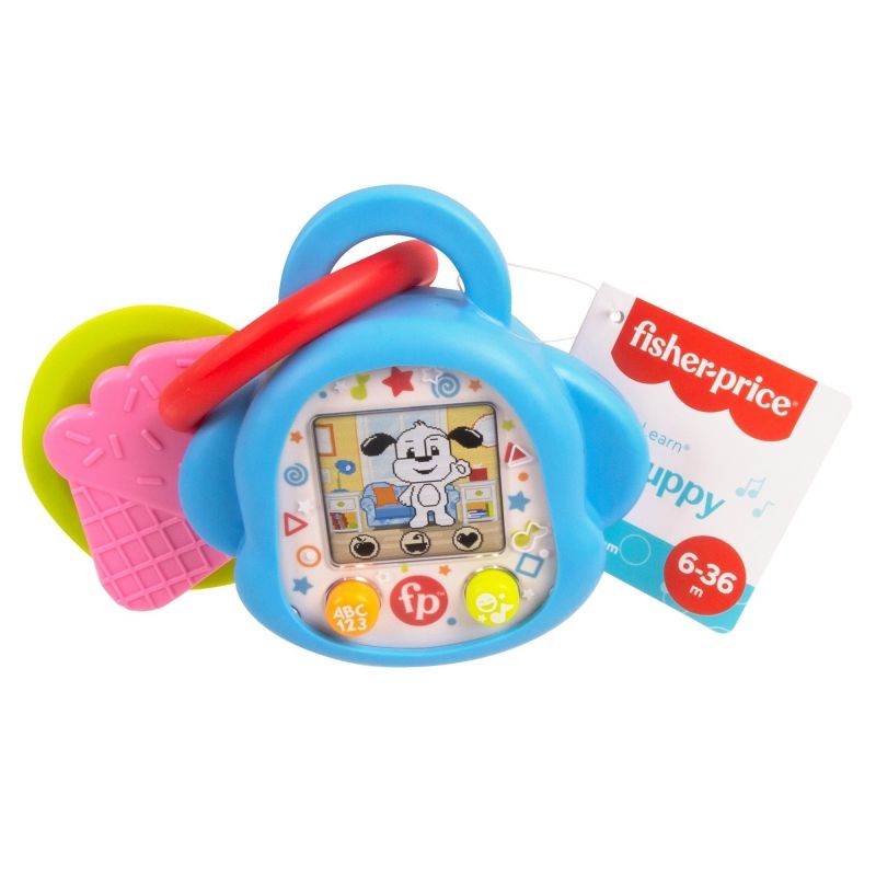 MATTEL - MATTEL HHC51 FISHER PRICE RIE Y APRENDE MI PRIMER MASCOTA