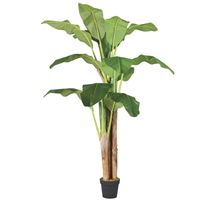 Planta Artificial Banano Premium 180 Cm. / 14 Hojas /