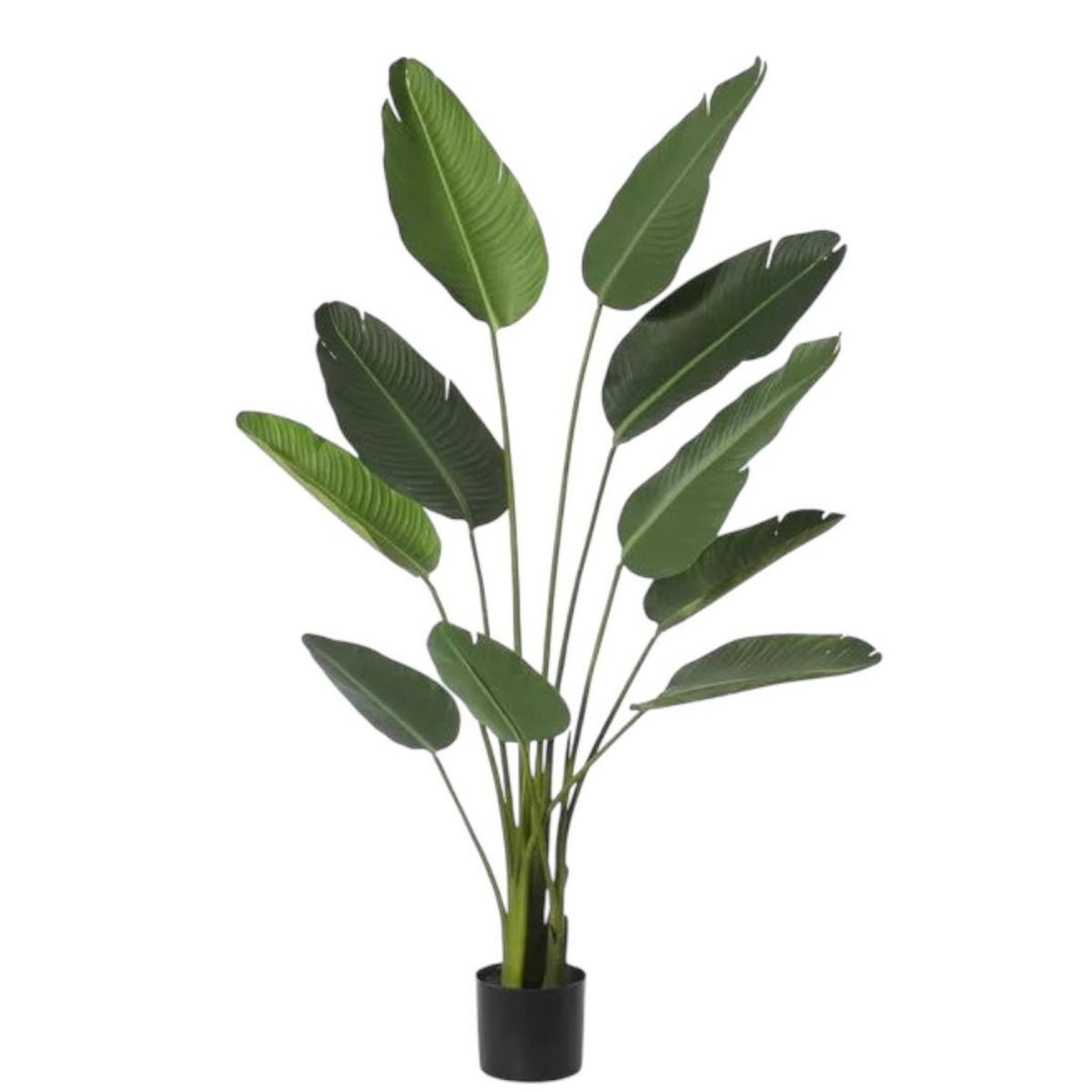 ARBUSTO REAL - Planta Artificial Ave del Paraiso 180 cm. / 12 Hojas