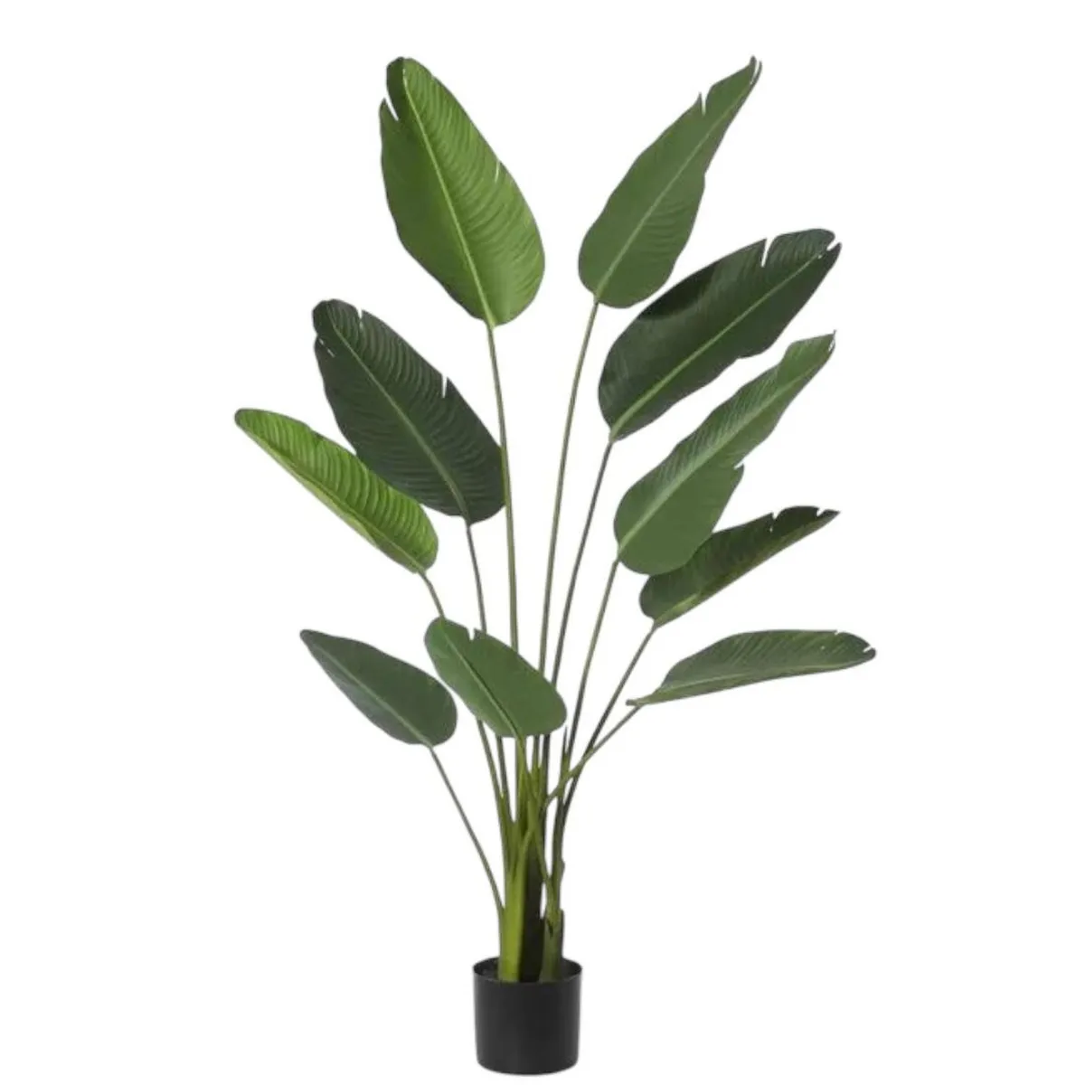 ARBUSTO REAL - Planta Artificial Ave del Paraiso 180 cm. / 12 Hojas