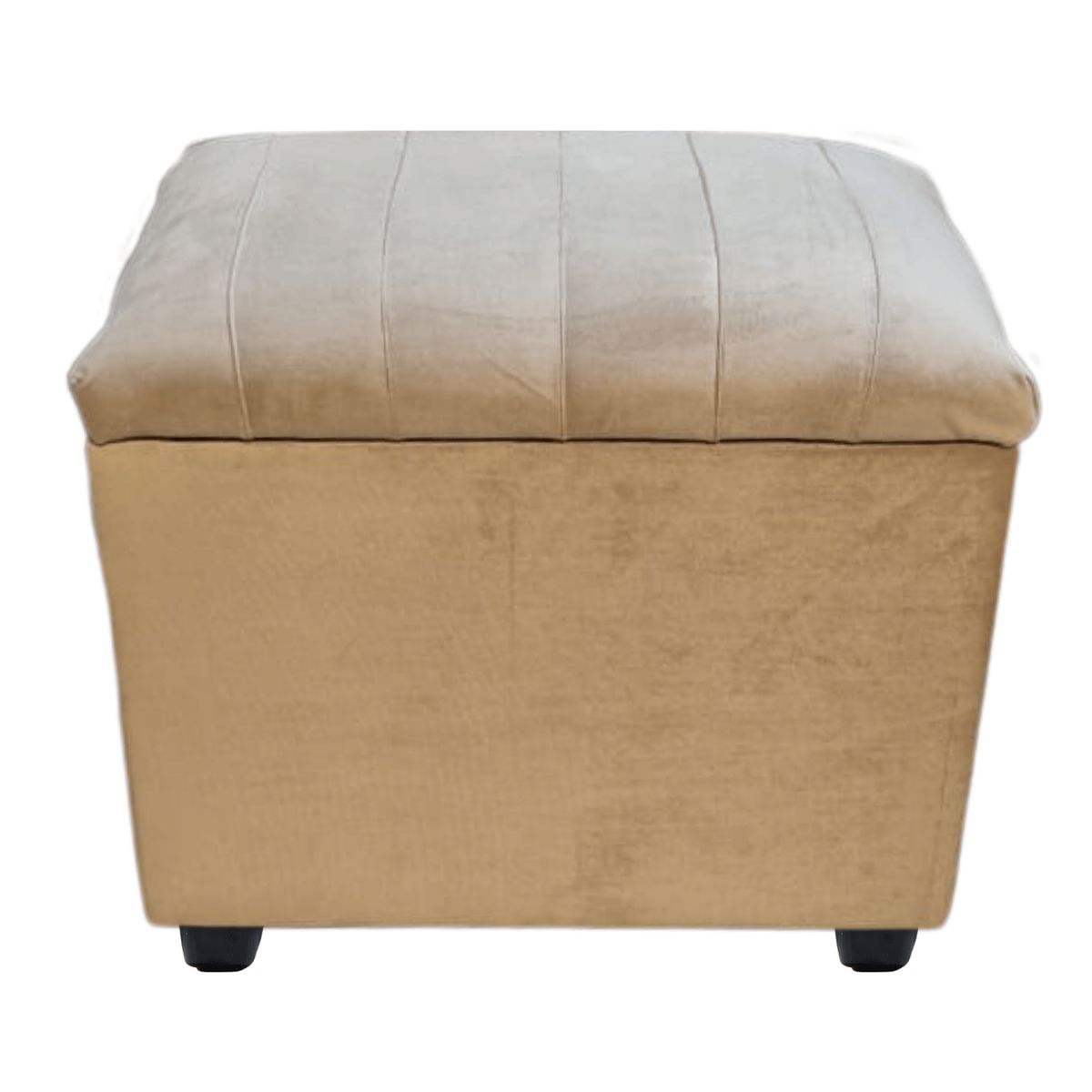 GENERICO - Banqueta Baul Tubular Beige Felpa 60x40x50x40 Rimar