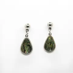GENERICO - Aros Pendientes de Fantasia Anacarados Tonos verde y Plata