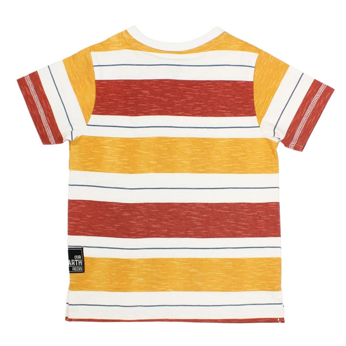 FICCUS - Polera Kids Niño Earth Naranjo_.