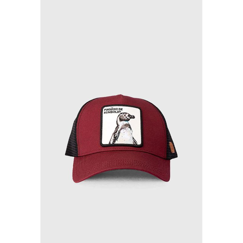 WILD LAMA - Jockey Pingüino de Humboldt Algodón Orgánico Burgundy