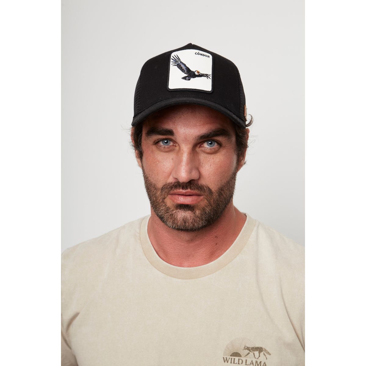 WILD LAMA - Jockey Cóndor Algodón Orgánico Negro