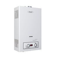 Calefont 10 Litros Gas Licuado Tiro Natural Hitech Hydro 20