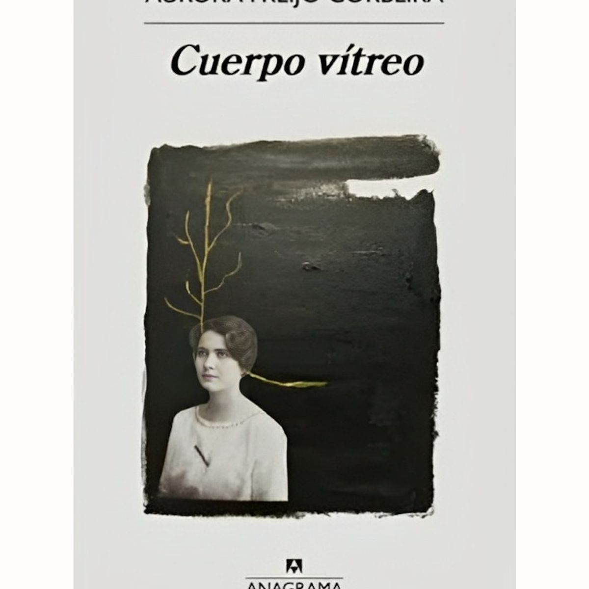 TOP10BOOKS - LIBRO Cuerpo Vitreo - Cuerpo Vitreo