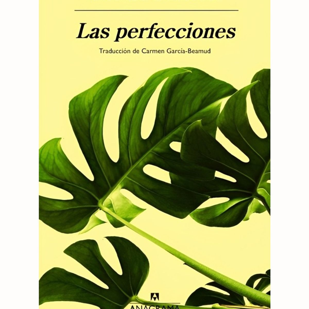 TOP10BOOKS - LIBRO Las Perfecciones - Las Perfecciones