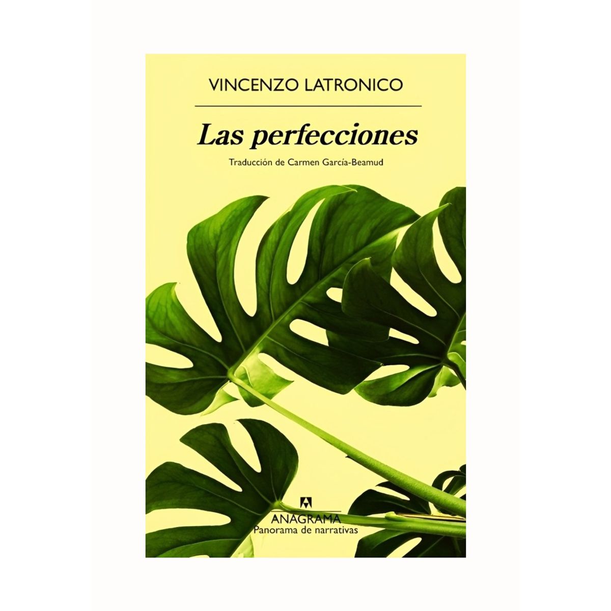 TOP10BOOKS - LIBRO Las Perfecciones - Las Perfecciones