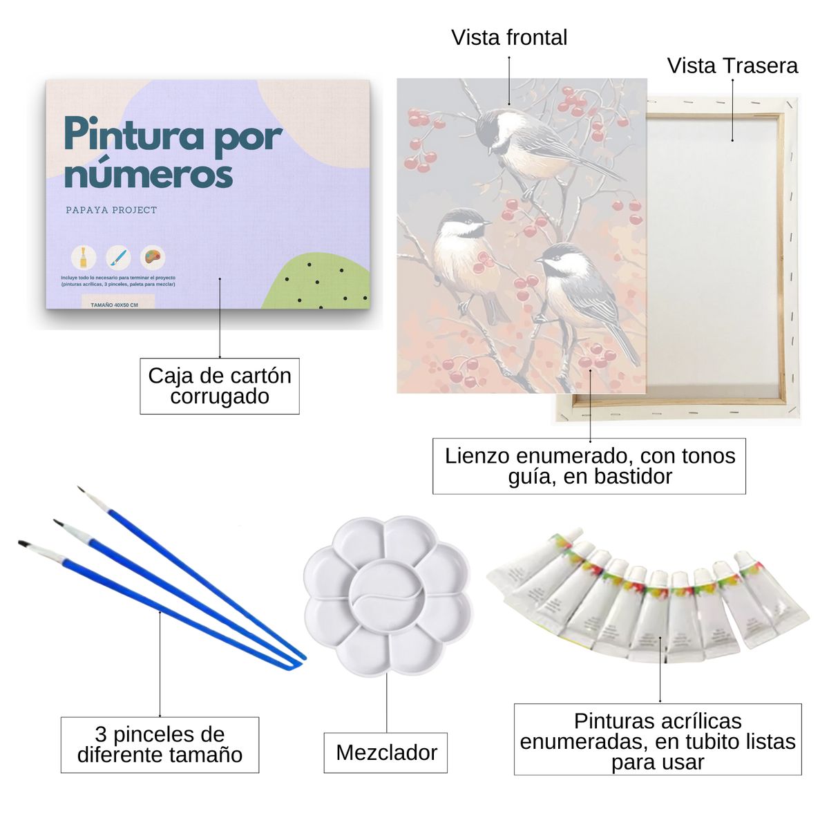 GENERICO - Pintura Por Números - Marco Incluido - Paint By Numbers 15