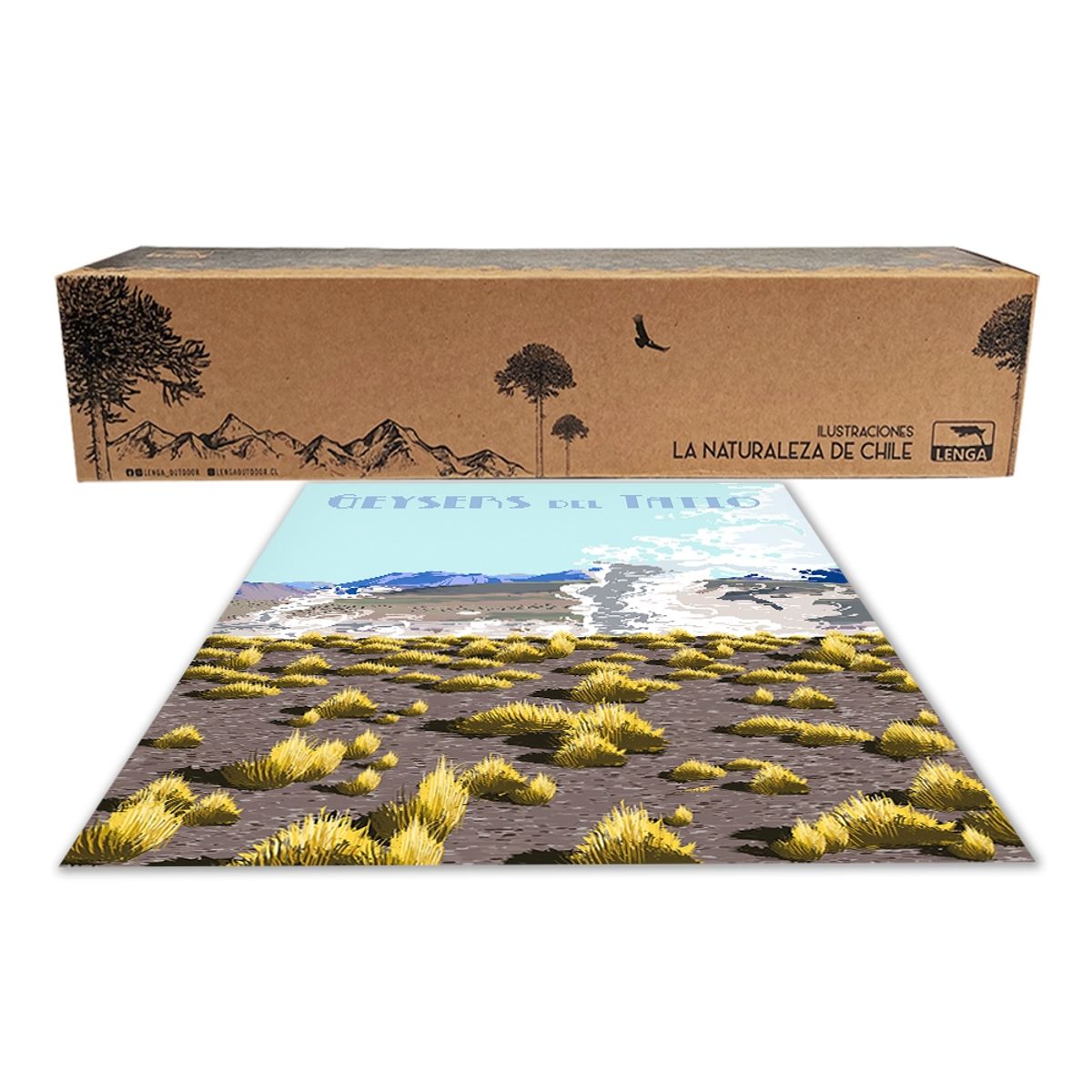 LENGA - Ilustración Geysers del Tatio