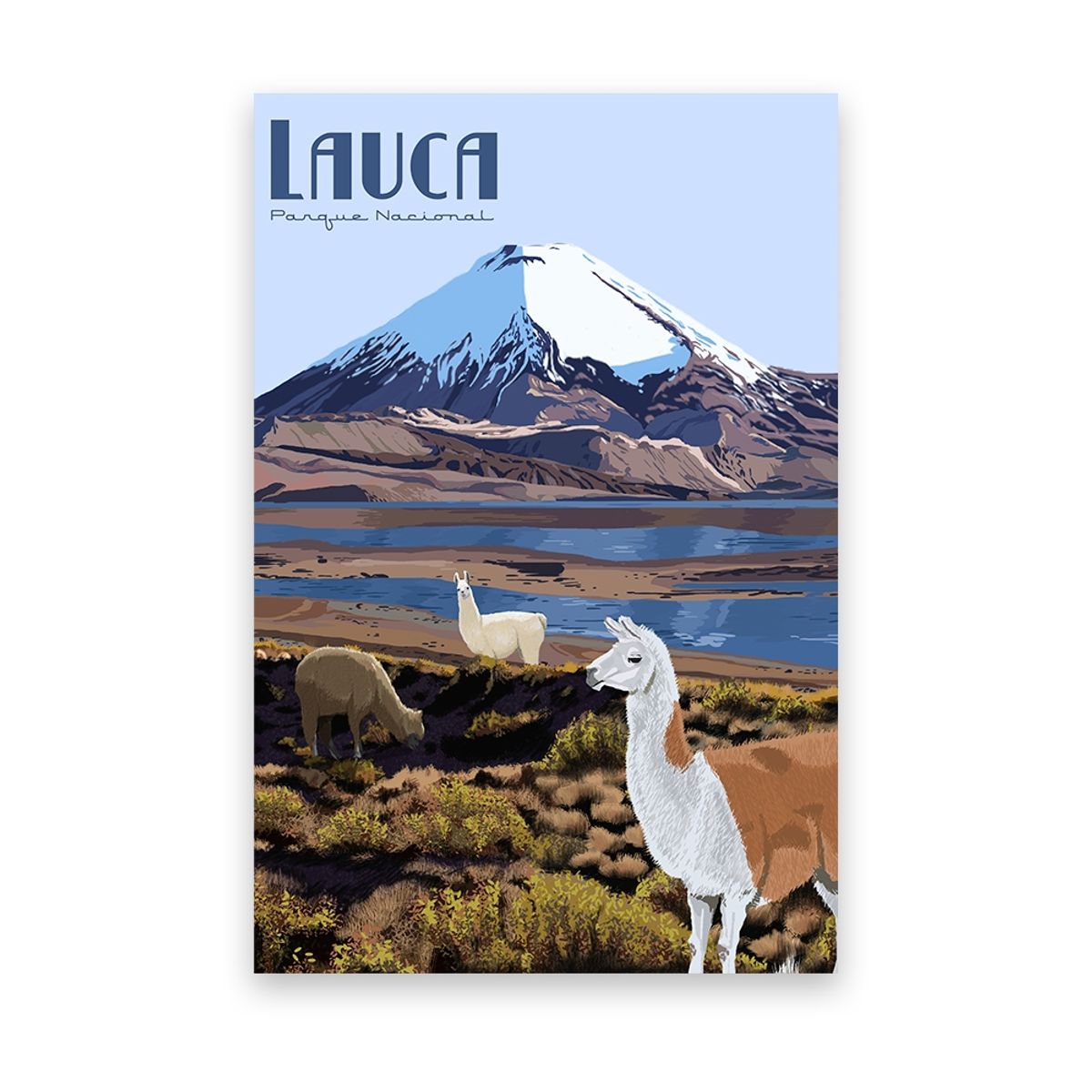 LENGA - Ilustración Parque Nacional Lauca - Lago Chungara