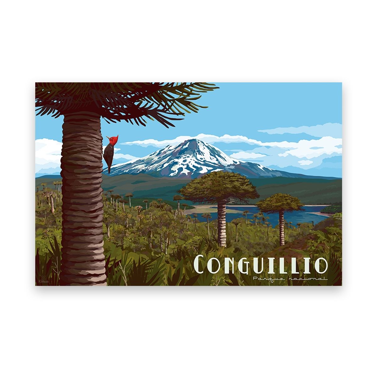 LENGA - Ilustración Parque Nacional Conguillio