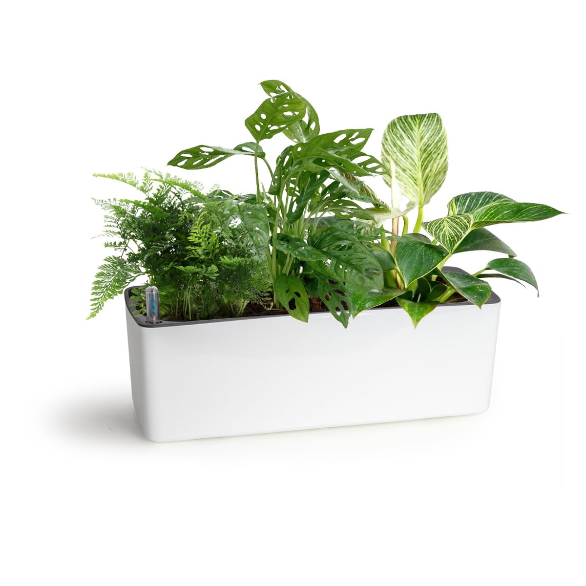 GROWLED - Macetero Autorregante  rectangular 50 cms Blanco GrowLED