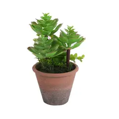 SOHOGAR - Planta Artificial Suculenta 20 cm