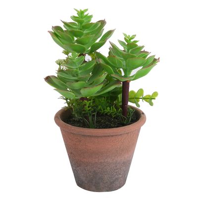 Imagen 2 del producto Planta Artificial Suculenta 20 cm