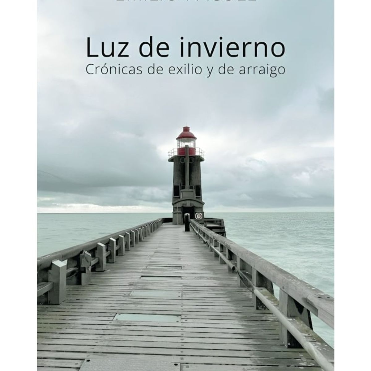 TOP10BOOKS - LIBRO Luz De Invierno - Luz De Invierno