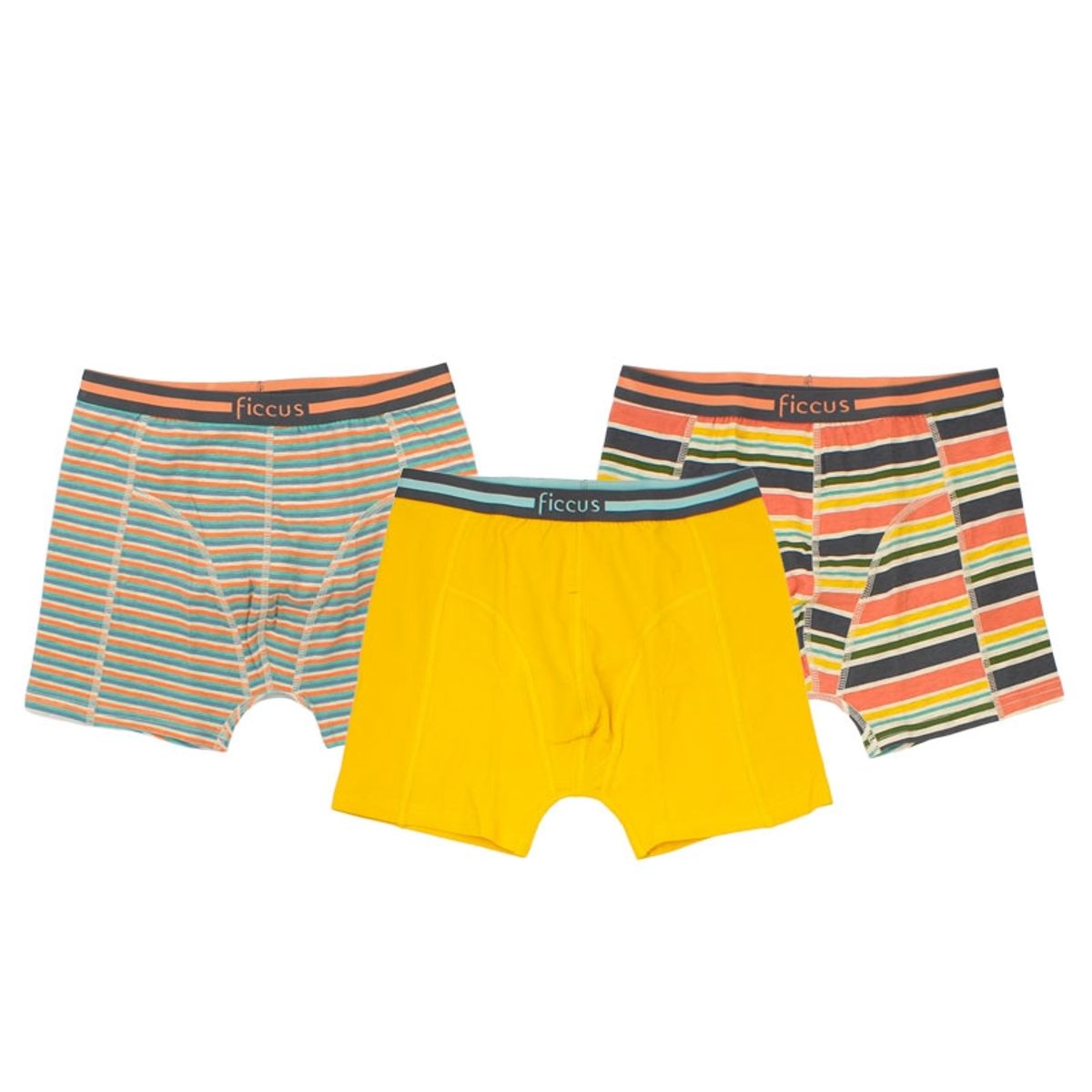 FICCUS - Boxer Teens Niño Ri Multicolor
