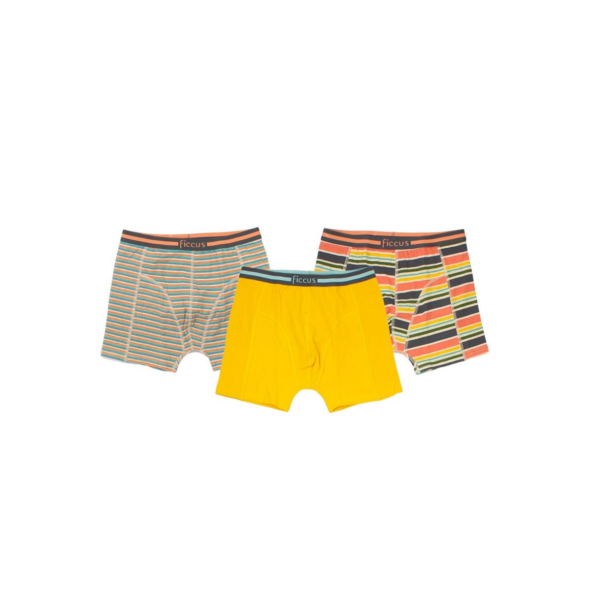 FICCUS - Boxer Teens Niño Ri Multicolor
