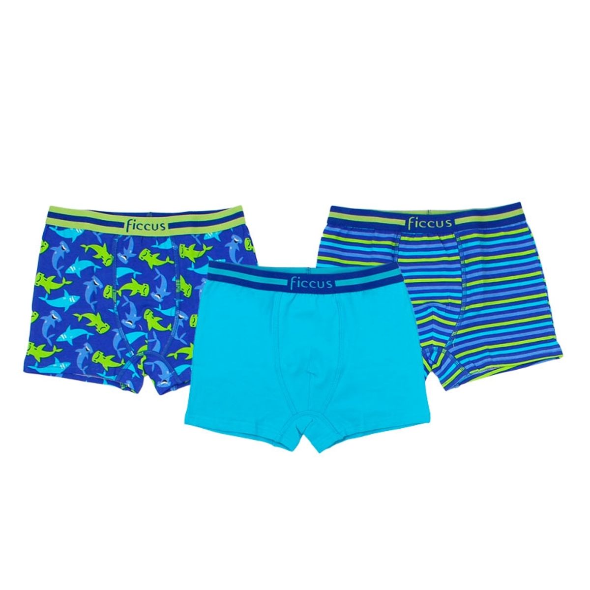 FICCUS - Boxer Kids Niño Ri Multicolor