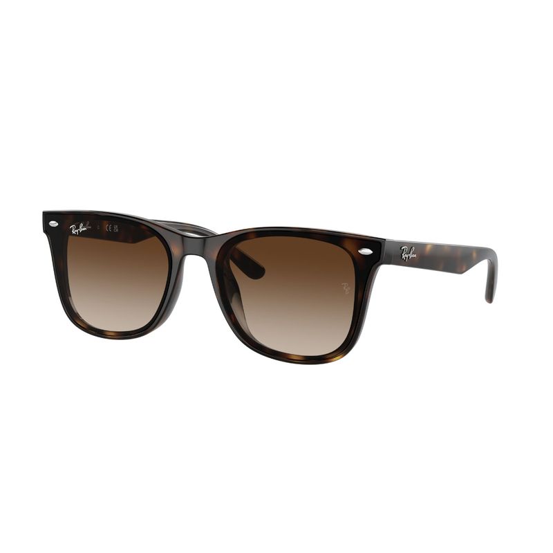 RAY BAN - Lentes de Sol Havana Ray-Ban