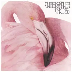 HITWAY MUSIC - CHRISTOPHER CROSS - ANOTHER PAGE - VINILO