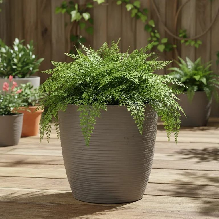 1 Molde Maceta Macetero Plastico Redondo Taupe Estilo Piedra 33 Cm