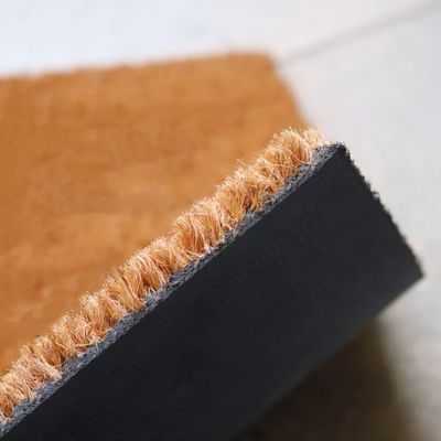 Imagen 2 del producto Choapino Biodegradable 45cm x75cm El mundo a tus pies