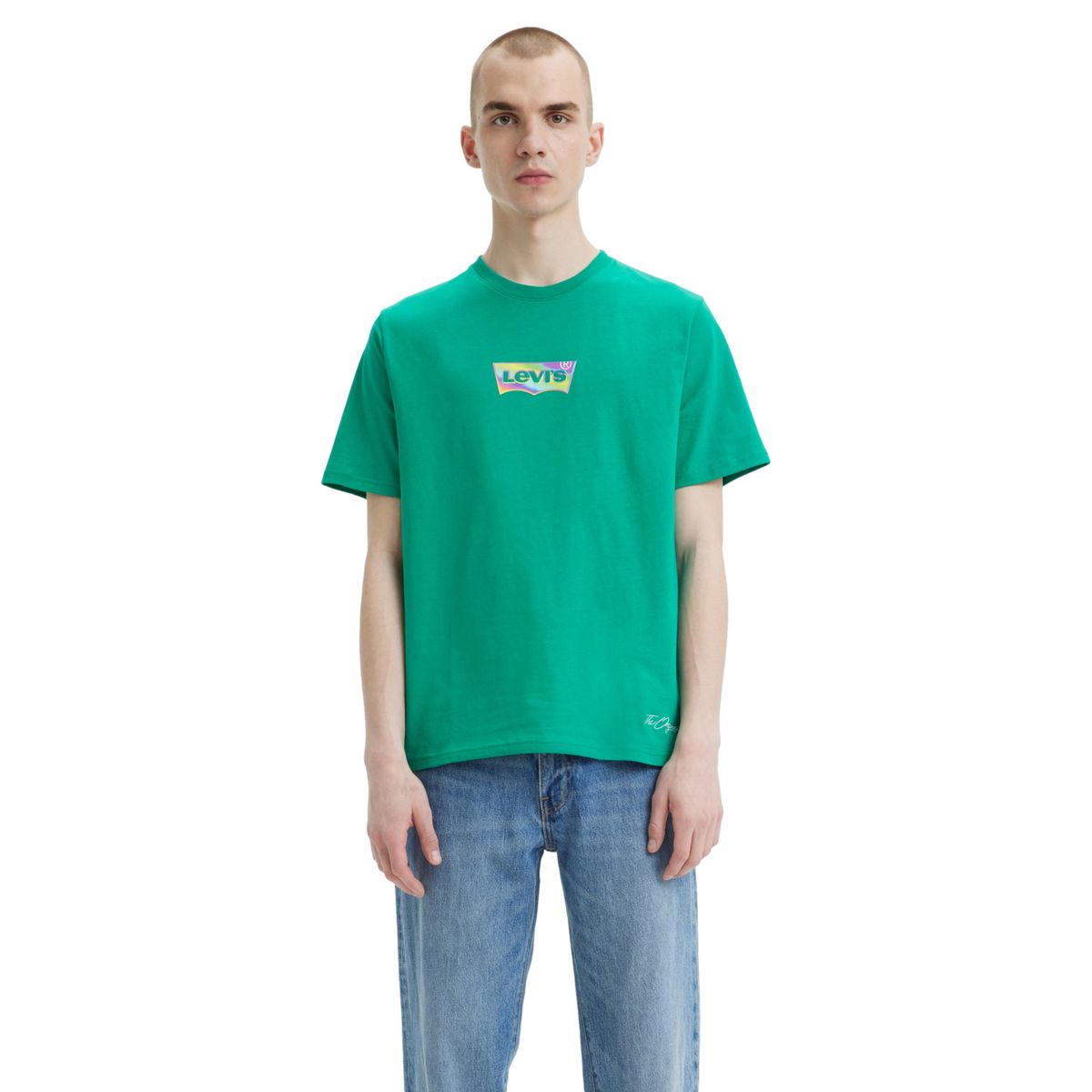 LEVIS - Polera Hombre Manga Corta Batwing Verde Levis