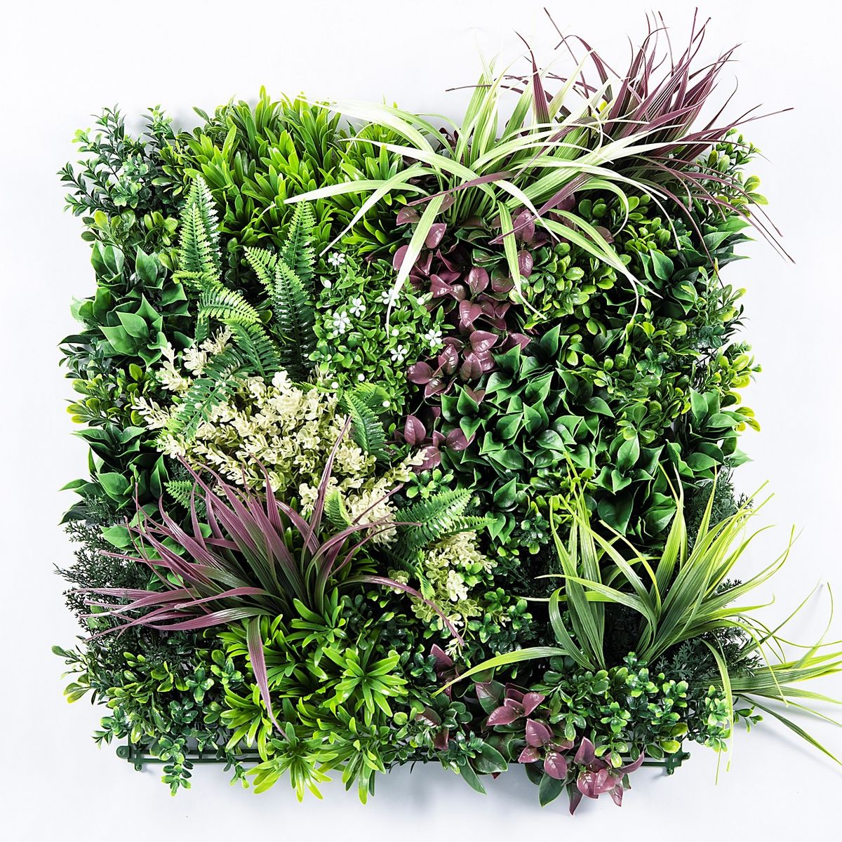 SIGNET - Adorno Jardín Vertical Calfulco 50x50 cm Signet