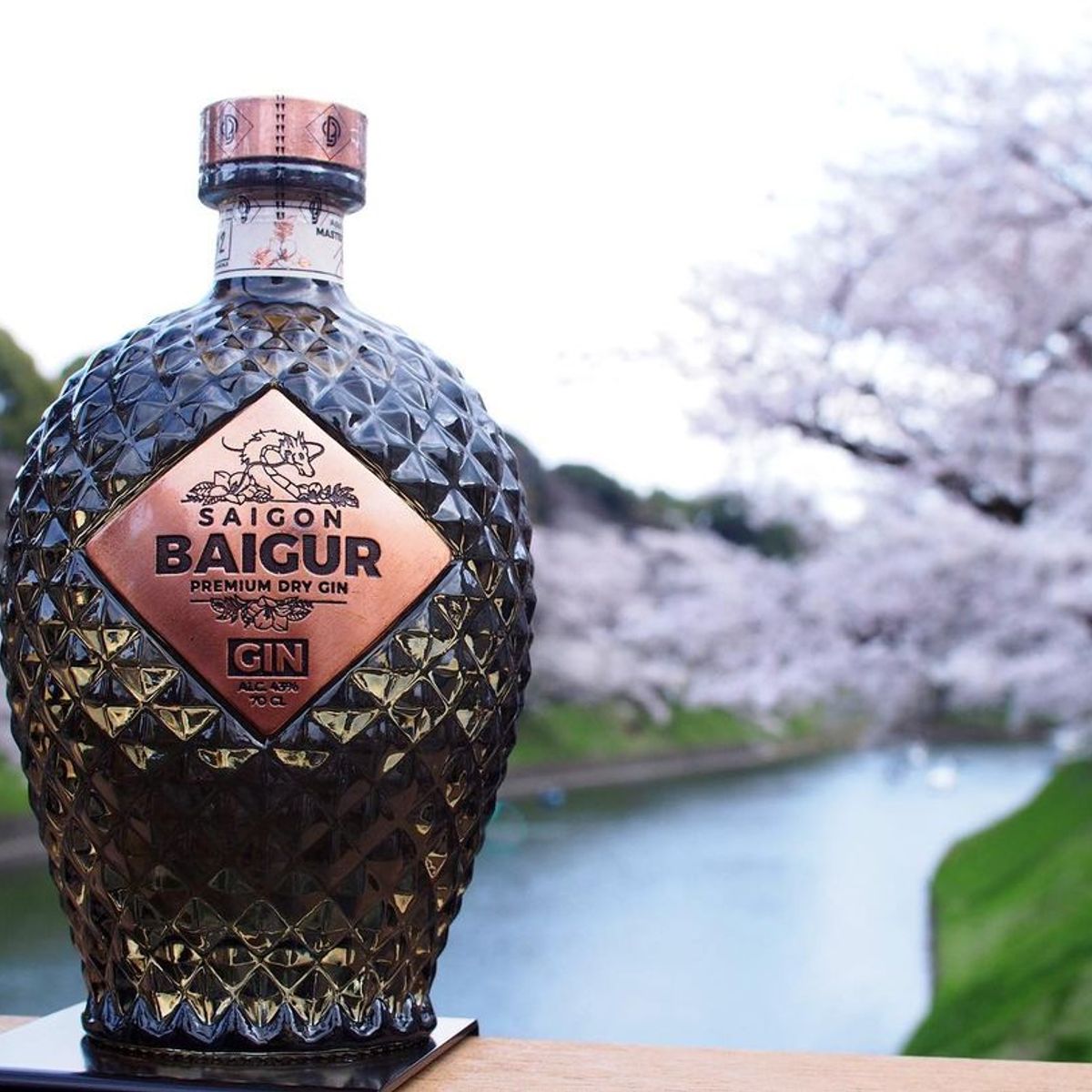 GENERICO - Gin Saigón Baigur Premium 700ml