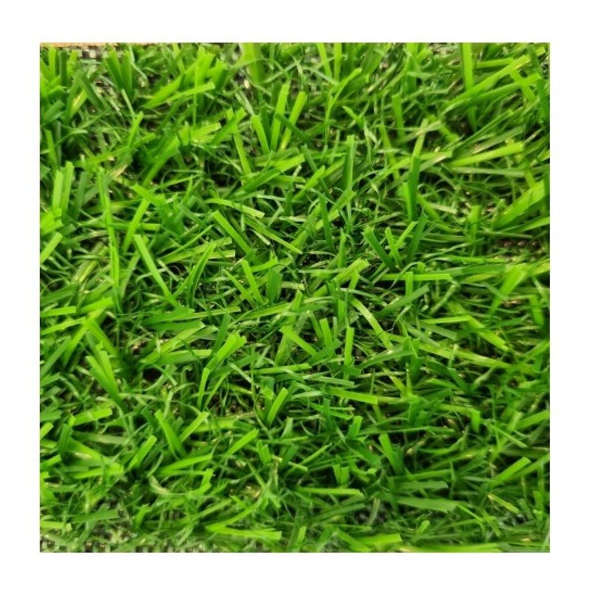 SIGNET - Pasto Sintético  15mm Fresia Rollo 2x5 Metros Signet