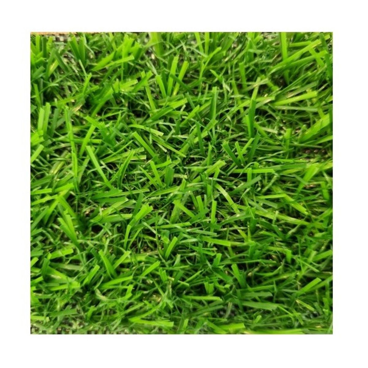 SIGNET - Pasto Sintético  15mm Fresia Rollo 2x5 Metros Signet