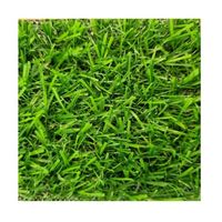 Pasto Sintético 15mm Fresia Rollo 2x5 Metros