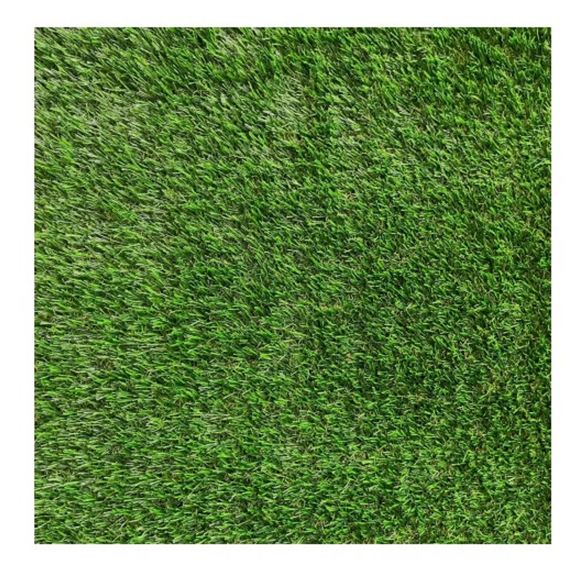 SIGNET - Pasto Sintético 30mm Valhalla Rollo 2x5 Metros Signet