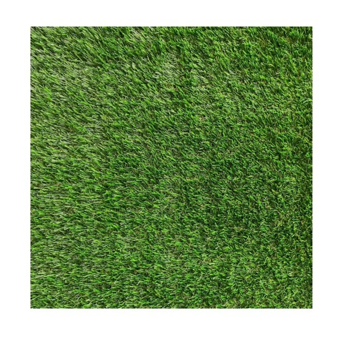 SIGNET - Pasto Sintético 30mm Valhalla Rollo 2x5 Metros Signet