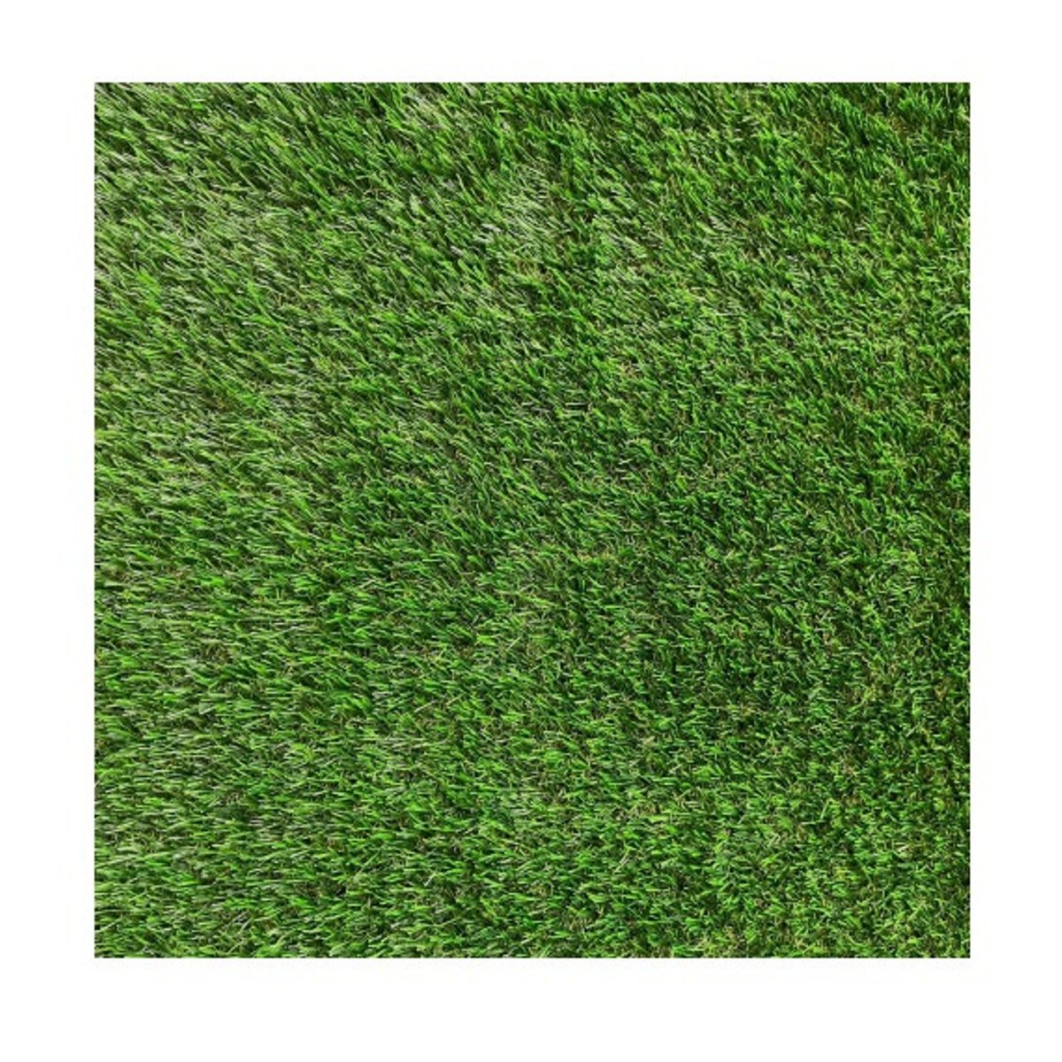 SIGNET - Pasto Sintético 30mm Valhalla Rollo 2x10 Metros Signet