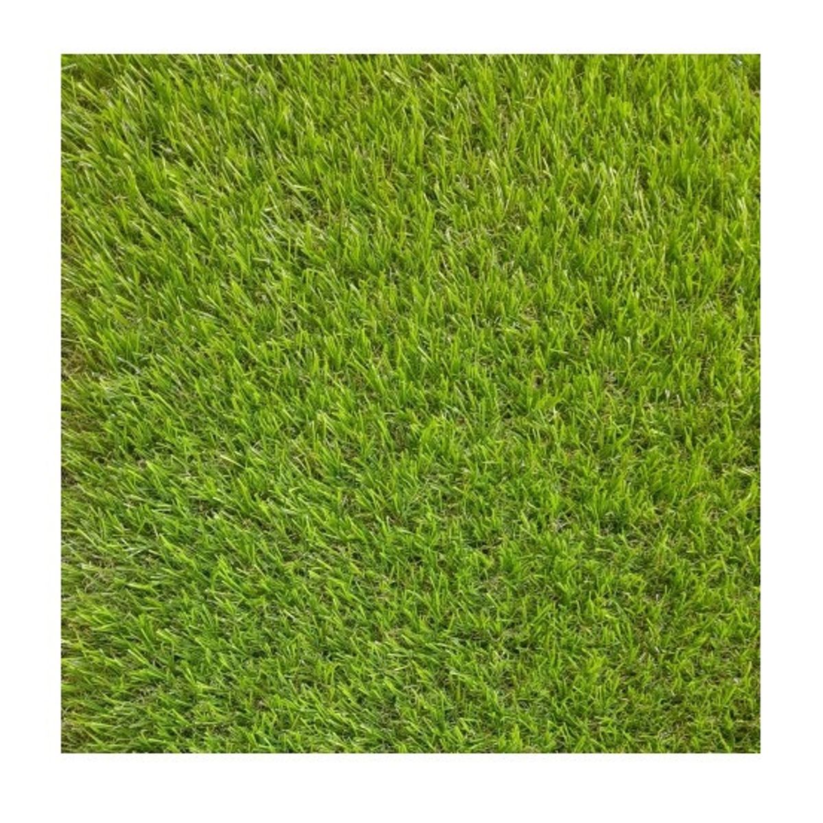 SIGNET - Pasto Sintético 40mm  Petrohue Rollo 2x5 Metros Signet