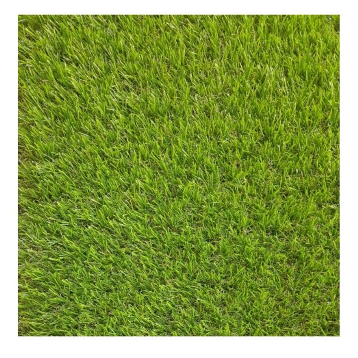 SIGNET - Pasto Sintético 40mm Petrohue  Rollo 2x10 Metros Signet