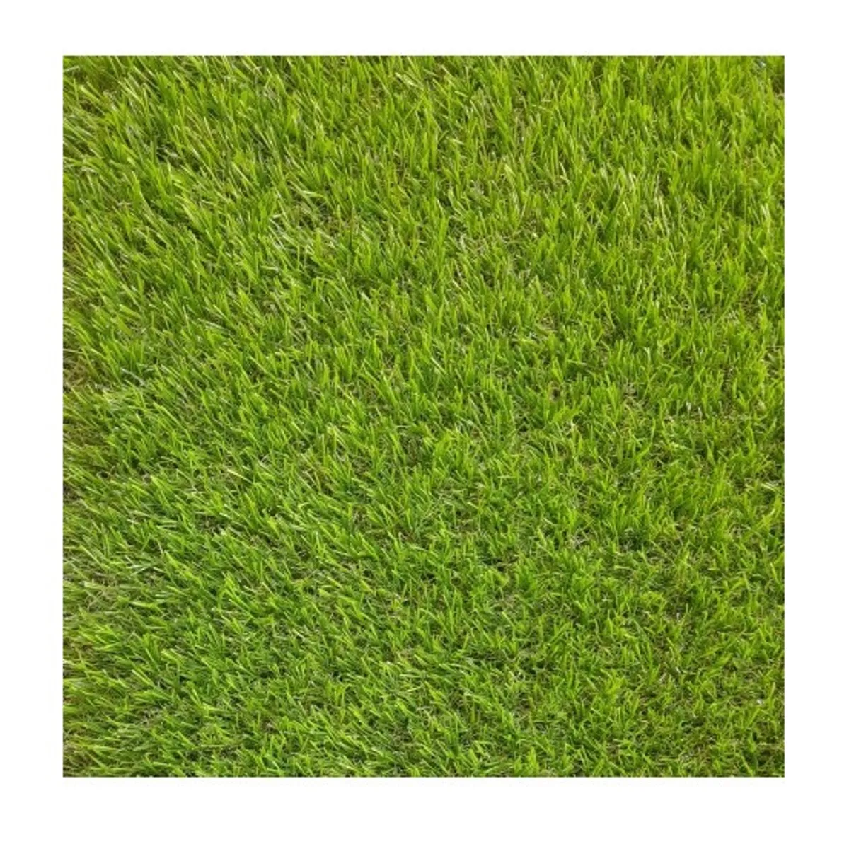 SIGNET - Pasto Sintético 40mm Petrohue  Rollo 2x10 Metros Signet