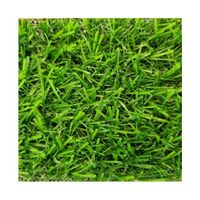 Pasto Sintético 15mm Fresia Rollo 2x10 Metros