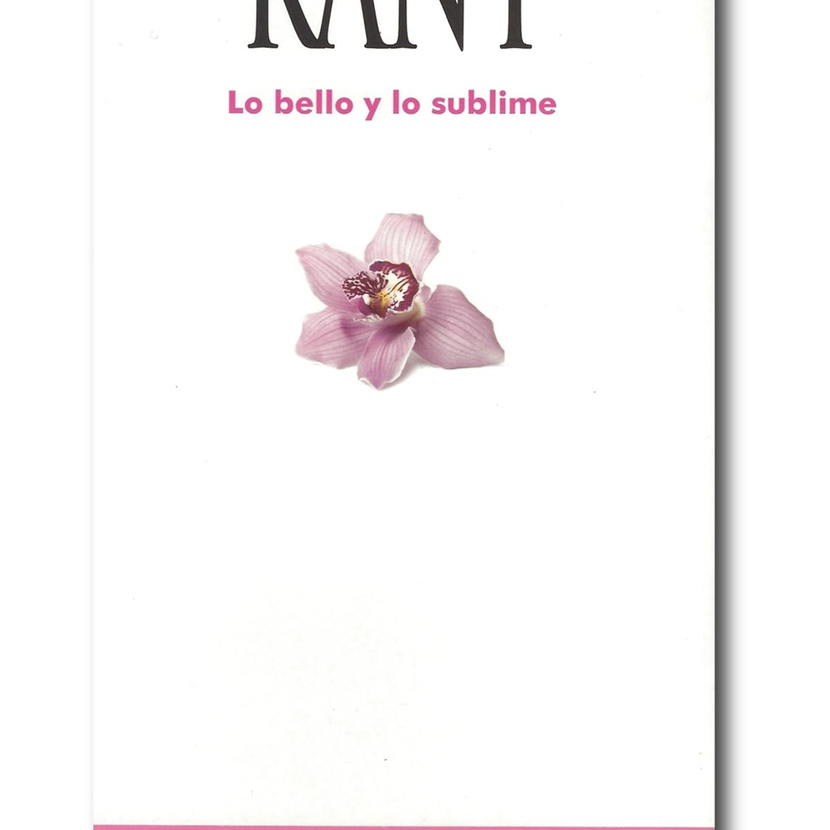 GENERICO - Lo bello y lo sublime