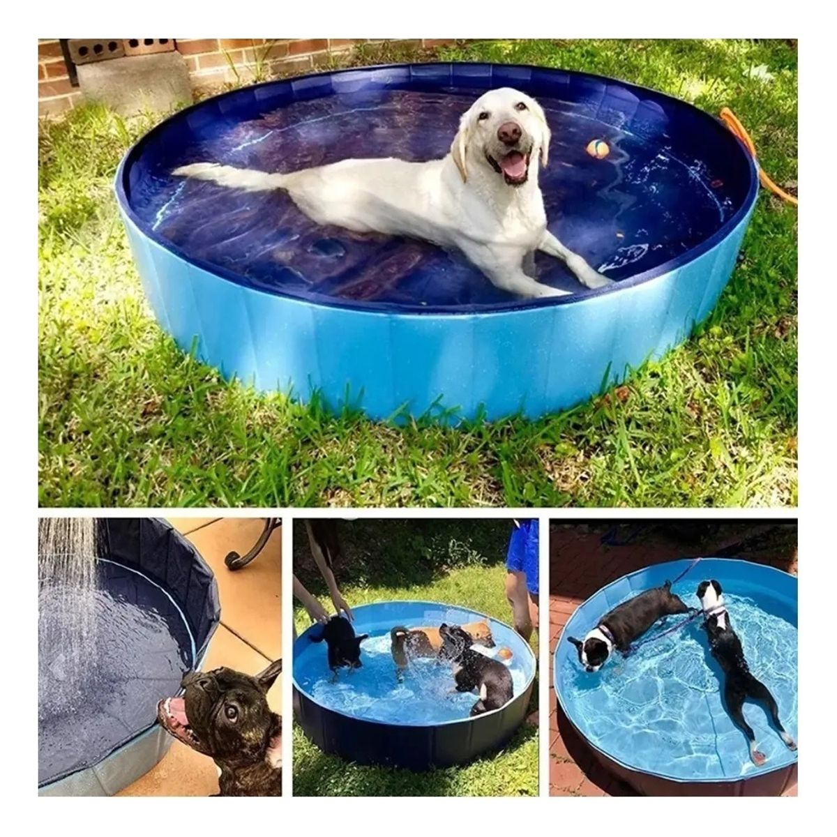 U BUY - Piscina Pileta Plegable Para Mascotas Niños Xl 120 X 30 Cms
